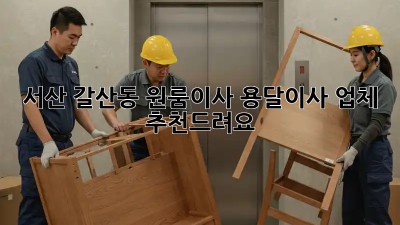 서산 갈산동 원룸이사? 용달이사 업체 추천드려요!
